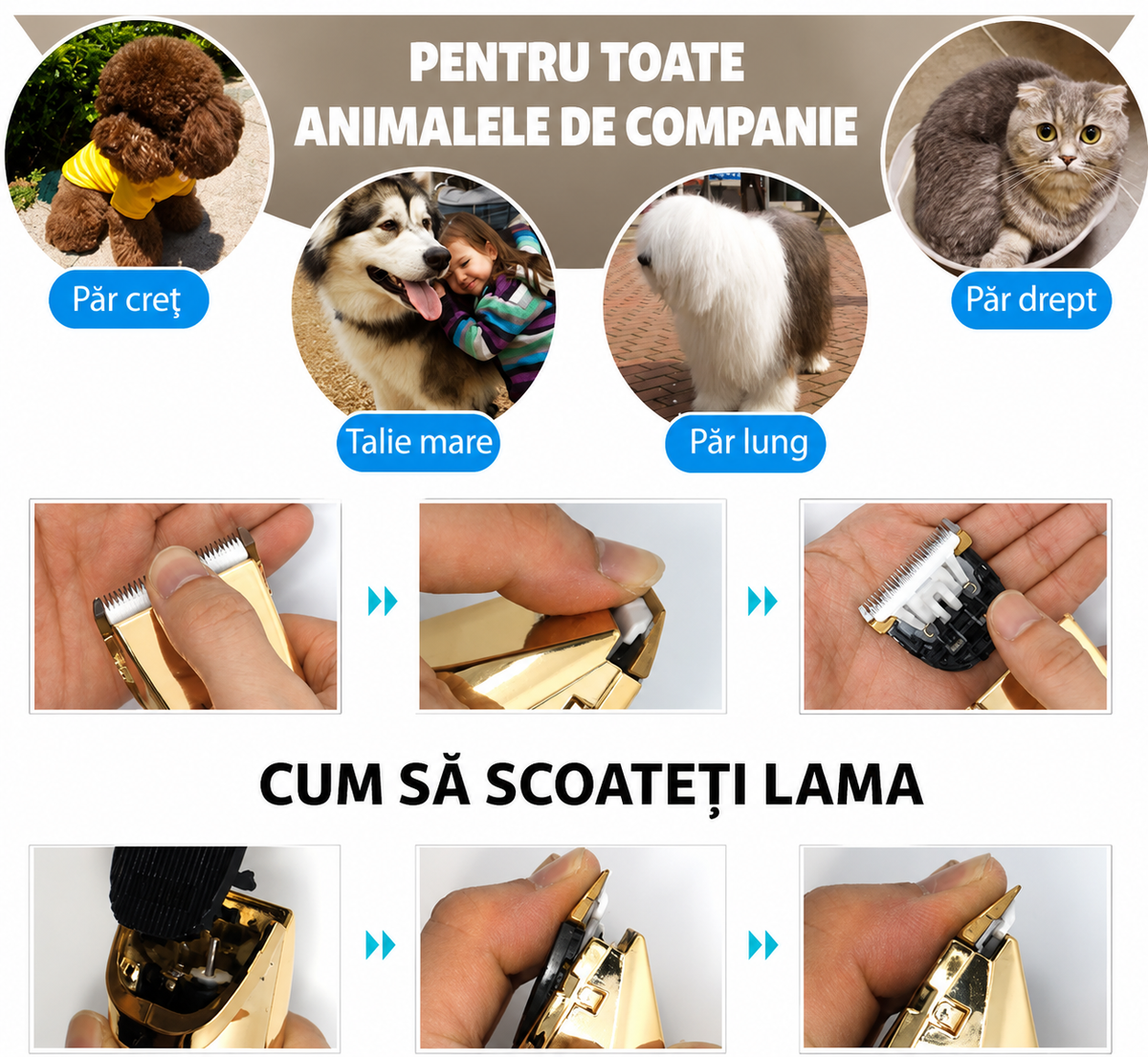 Mașină de Tuns Animale fără Fir, Silențioasă, Lamă Ceramică, 4 Piepteni și Accesorii-2