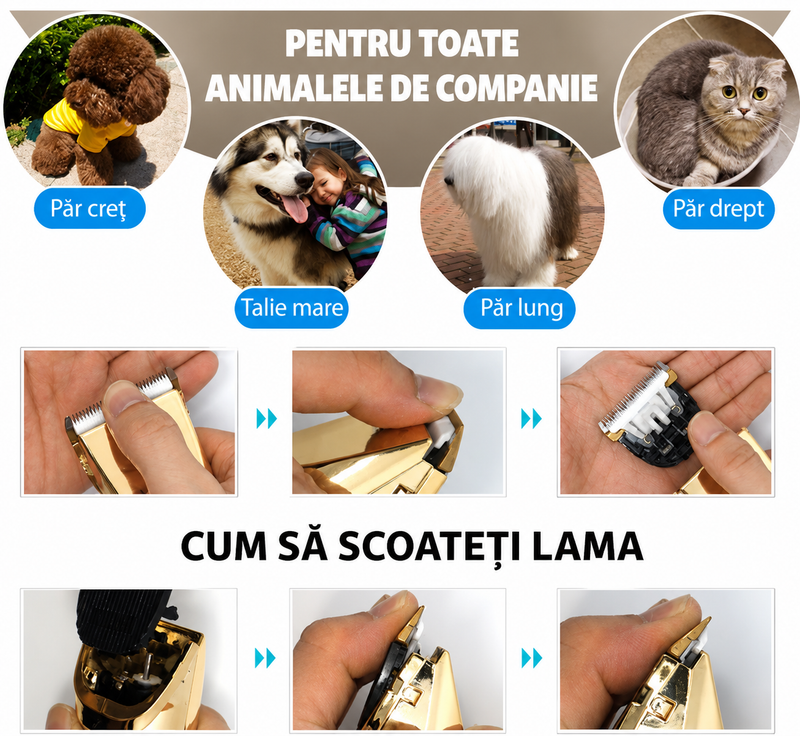 Mașină de Tuns Animale fără Fir, Silențioasă, Lamă Ceramică, 4 Piepteni și Accesorii-2